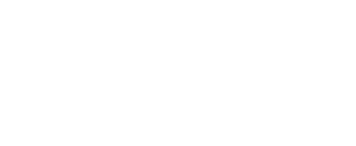 Logo Institut Vidya